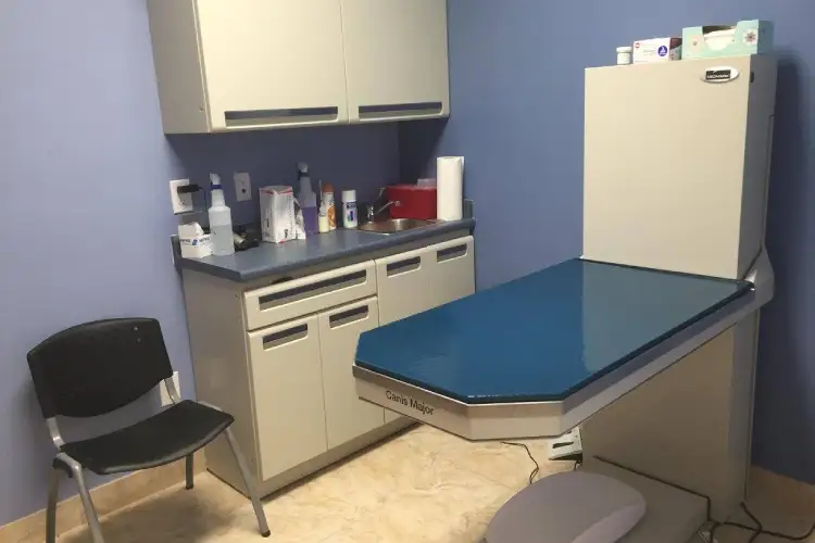 Professional Veterinarian Service