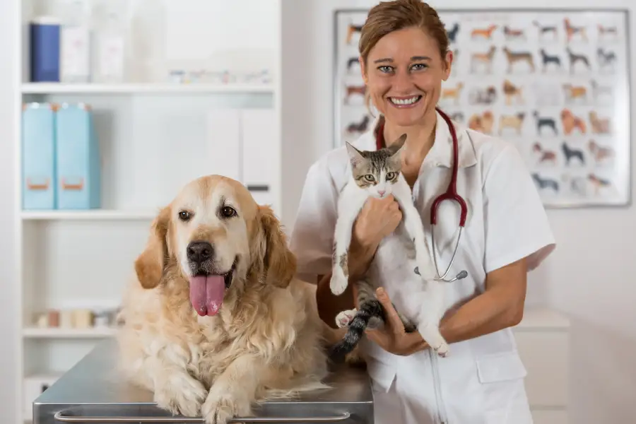 Professional Veterinarian Service